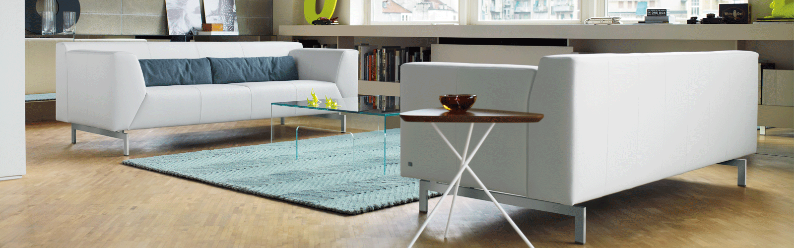 Rolf Benz Modern Furniture